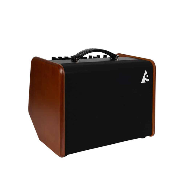 Godin Acoustic Solutions ASG-8 Wood Akustikcombo