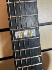 Ibanez KRYS10 Scott LePage Signature E-Gitarre