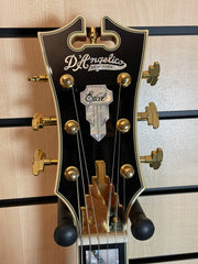 D'Angelico Excel SS Viola E-Gitarre