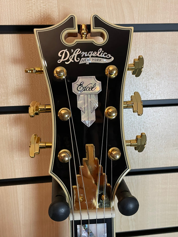 D'Angelico Excel SS Viola E-Gitarre