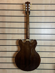 Sigma HBW-102H-DS Semi-Hollow Dark Stain E-Gitarre