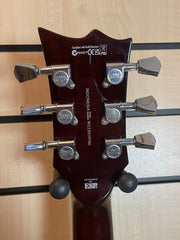 ESP LTD EC-256 VN E-Gitarre