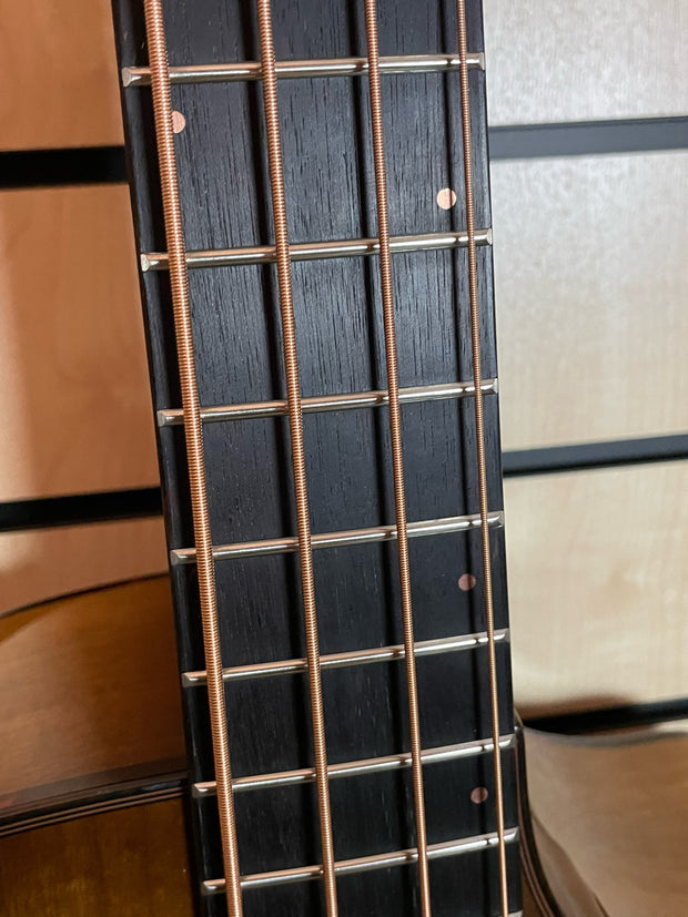 Breedlove Pursuit Exotic S Concerto CE AM Akustikbass