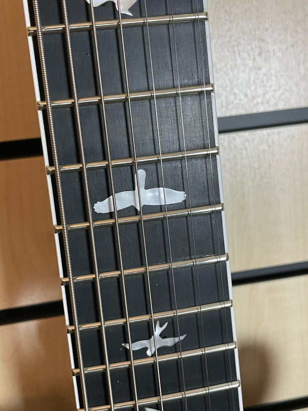 PRS SE Mark Holcomb SVN HBB E-Gitarre