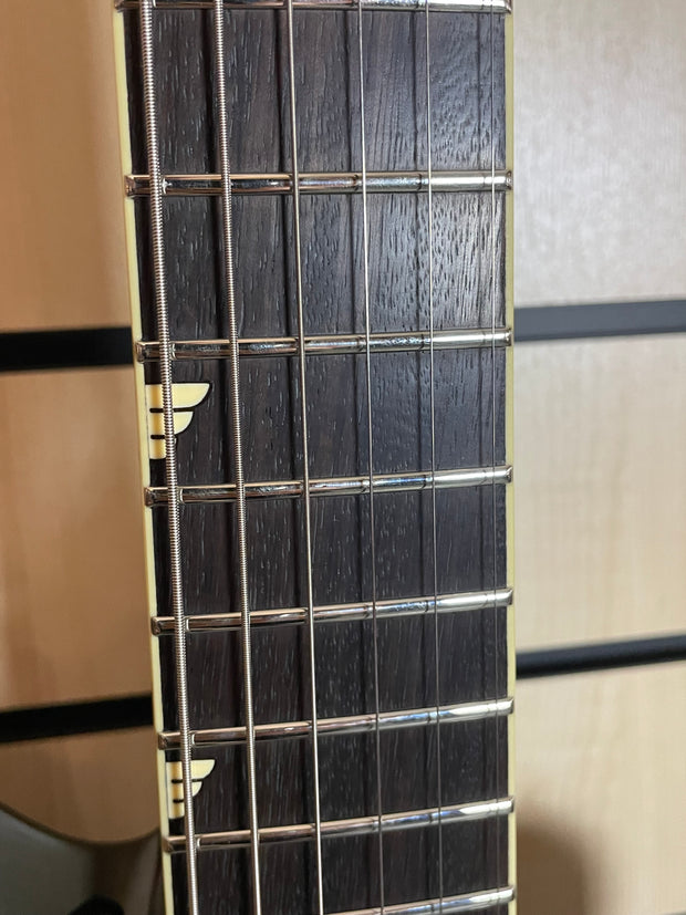Duesenberg Paloma Custom Black E-Gitarre