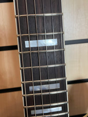 Sigma HBA-102H-TBB Semi-Hollow Transparent Blueburst E-Gitarre