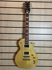 ESP LTD EC-256 VN E-Gitarre