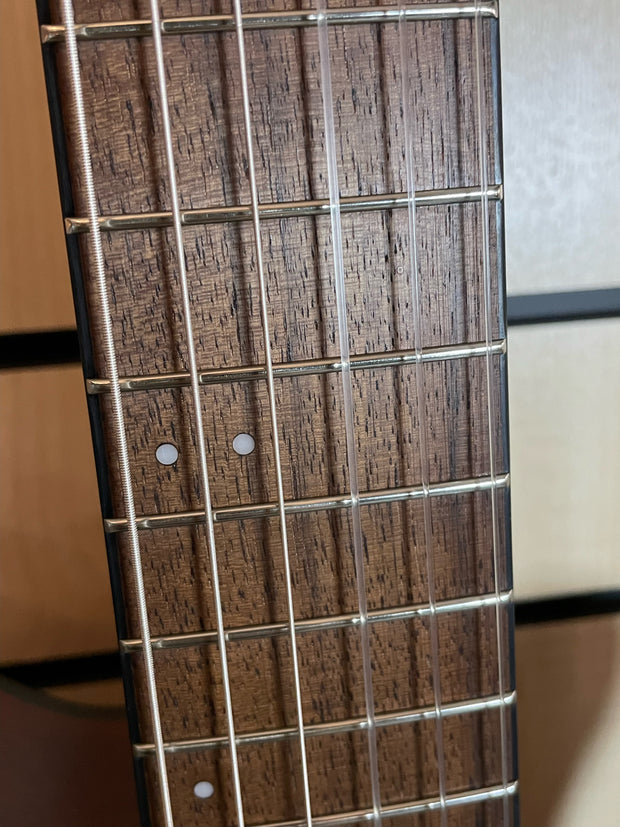 Ibanez FRH10N-NTF Klassikgitarre