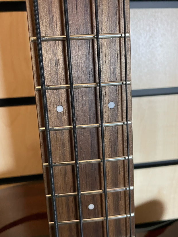 Ibanez AEGB24E-MHS Akustikbass