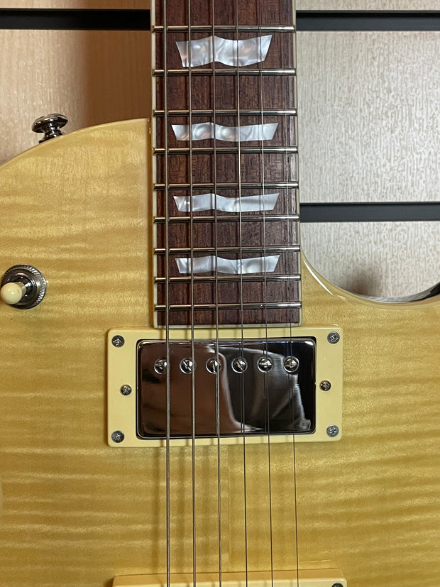 ESP LTD EC-256 VN E-Gitarre