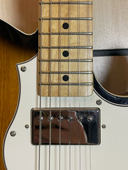 FGN J-Standard Iliad SH 2TS E-Gitarre Gebraucht 2013