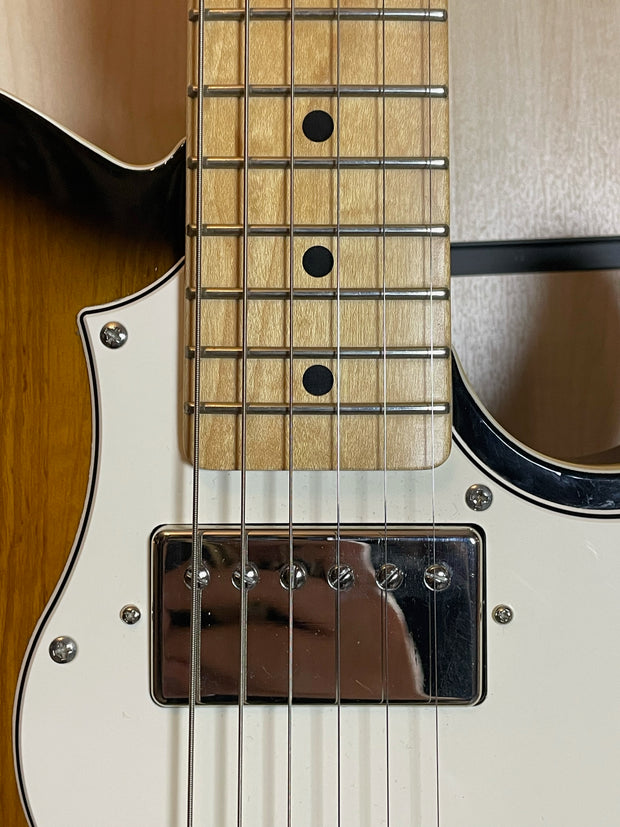 FGN J-Standard Iliad SH 2TS E-Gitarre Gebraucht 2013