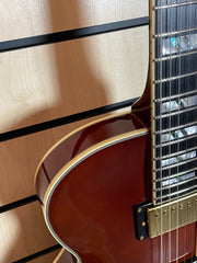 D'Angelico Excel SS Viola E-Gitarre