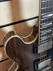 Sigma HBW-102H-DS Semi-Hollow Dark Stain E-Gitarre
