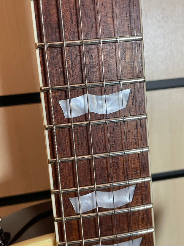 ESP LTD EC-256 VN E-Gitarre