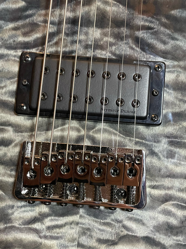 PRS SE Mark Holcomb SVN HBB E-Gitarre