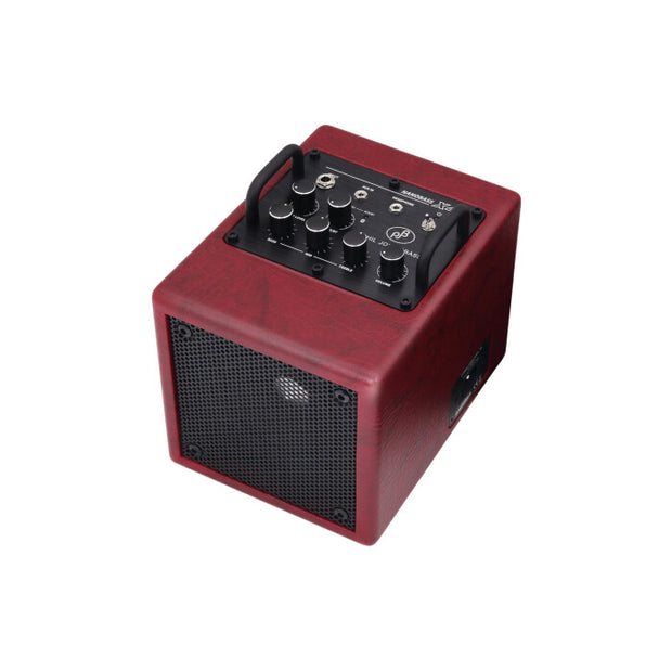 Phil Jones Bass X4 Nanobass RD Bass Combo