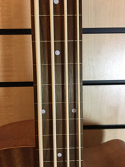 Gold Tone M-BASS25/FL Micro Bass 25 Fretless Akustikbass