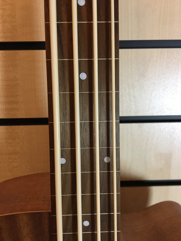Gold Tone M-BASS25/FL Micro Bass 25 Fretless Akustikbass