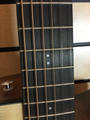 Ibanez AAD170CE-LGS Advanced Acoustic Westerngitarre