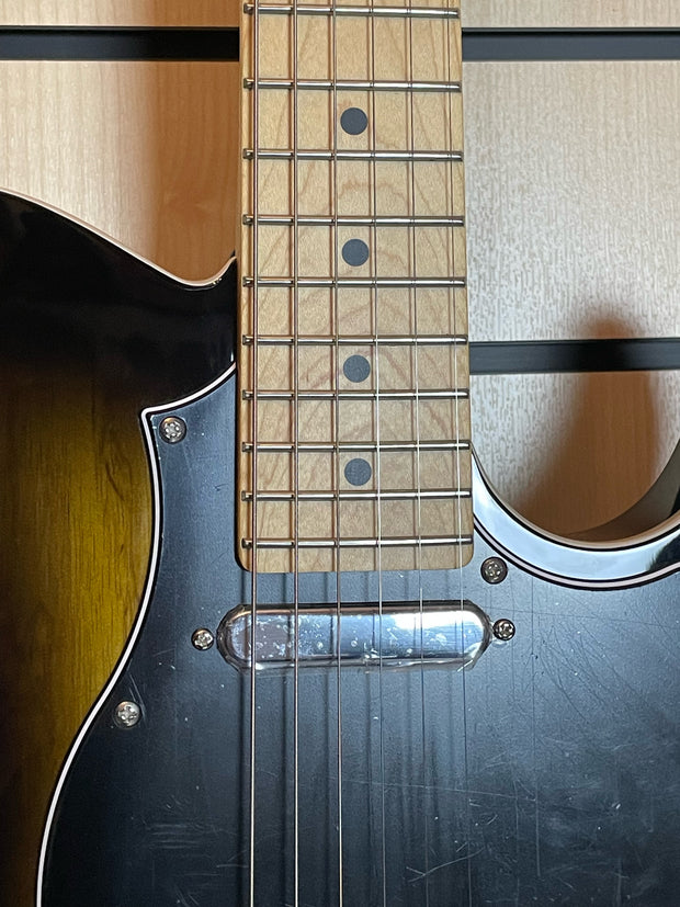 FGN J-Standard Iliad 2 2-Tone Sunburst E-Gitarre