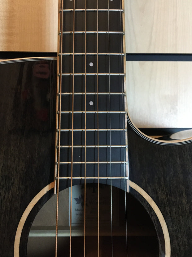 Tanglewood TW5 E BS Winterleaf Westerngitarre