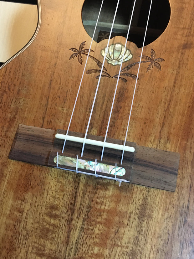 Leho LHUT-ASAK-CEL 10 Years Celebration All Solid Acacia Tenor Ukulele