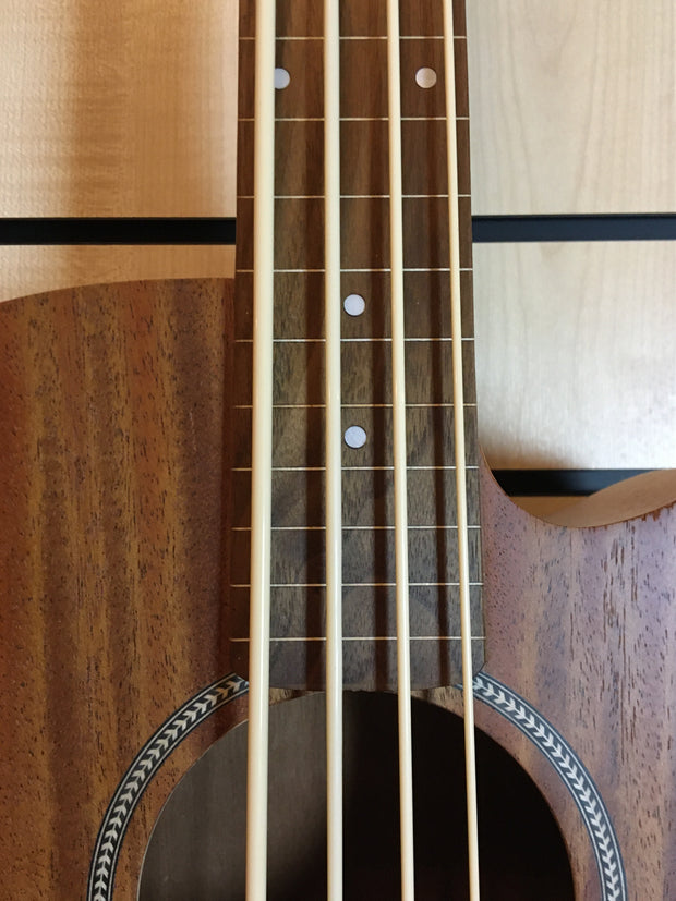 Gold Tone M BASS25 FL Micro Bass 25 Fretless Akustikbass cream