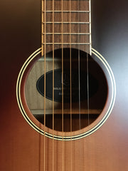 James Neligan EZR-D Ezra Series Dreadnought Westerngitarre