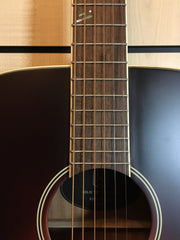 James Neligan EZR-D Ezra Series Dreadnought Westerngitarre